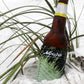 Finny Can Cooler - Mojo Sportswear Company